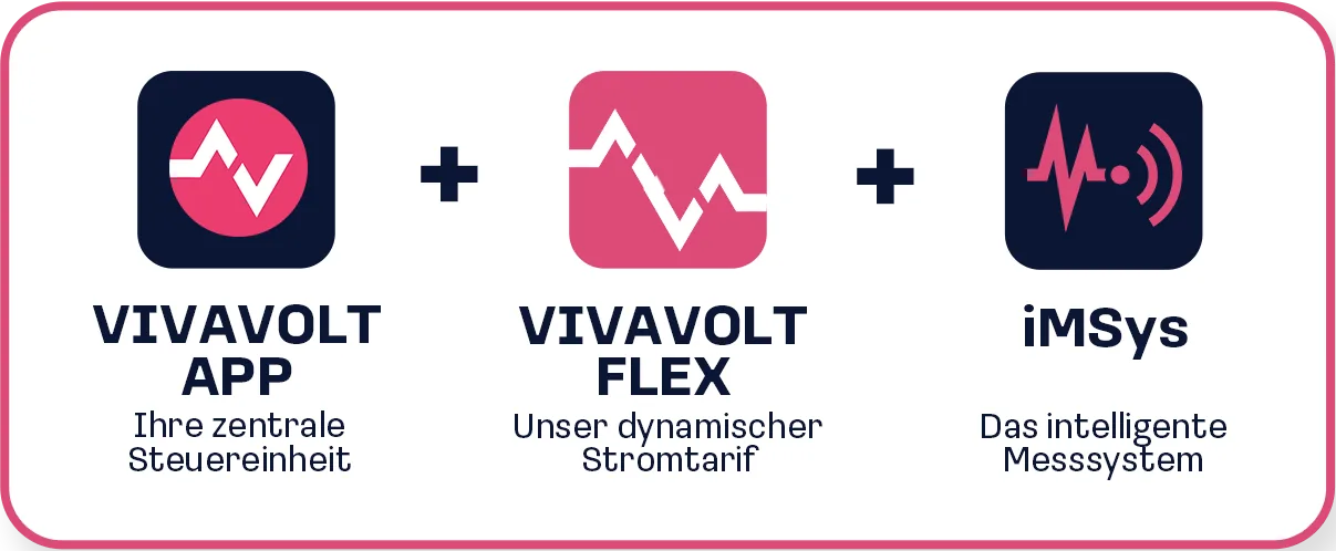 VivavoltMax_System